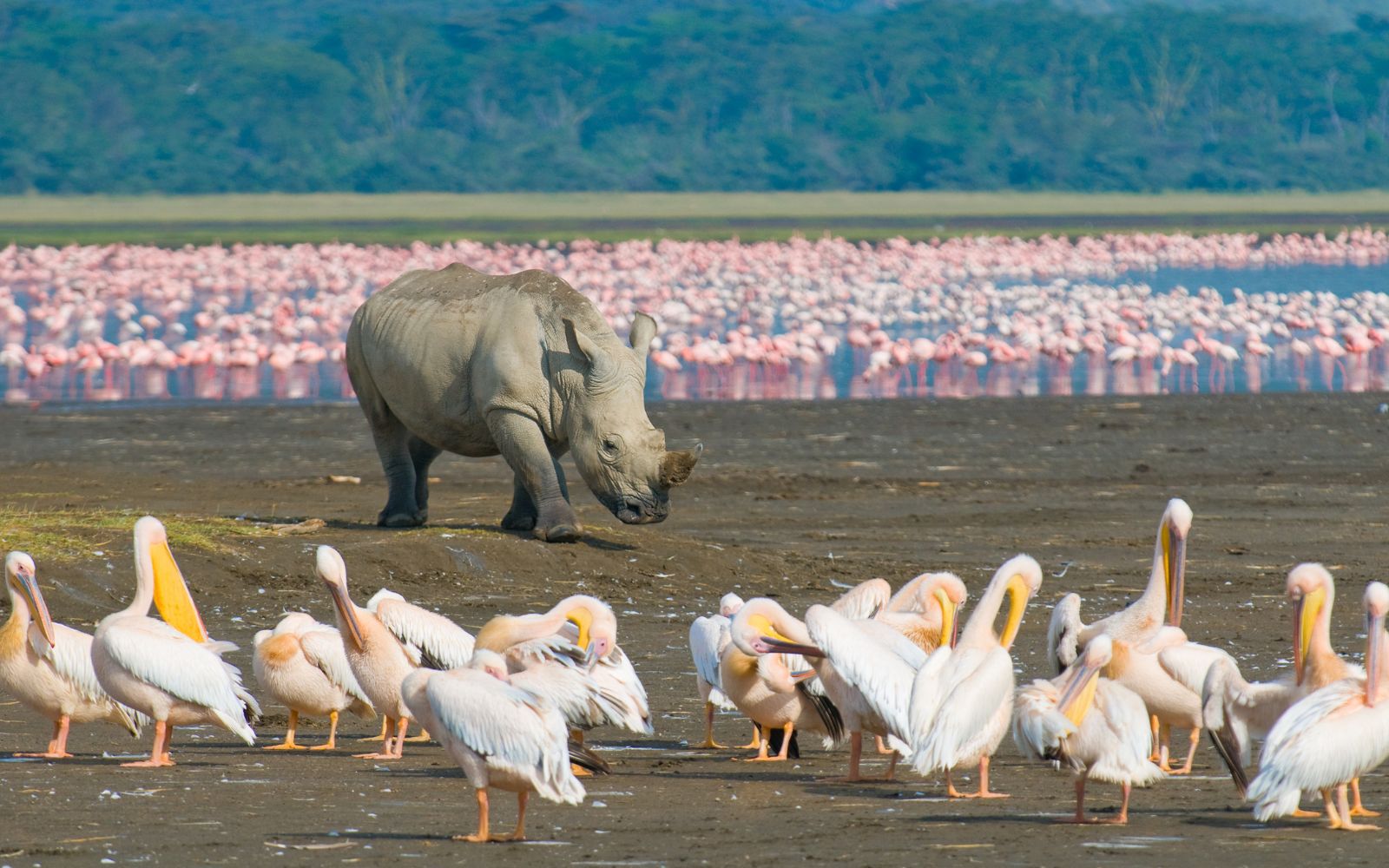 Lake Nakuru National Park